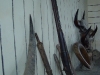 guns