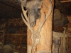 head