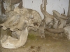 skull