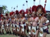 troupe
