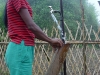 a-konyak-lady-fetching-water