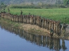 naga-army-under-training